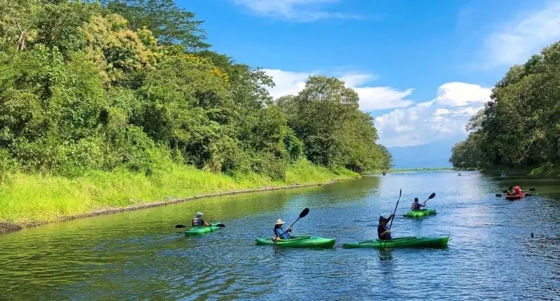 Los Kayak